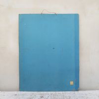 Poster tavola didattica trota aringa e anguilla vintage - miniatura 11